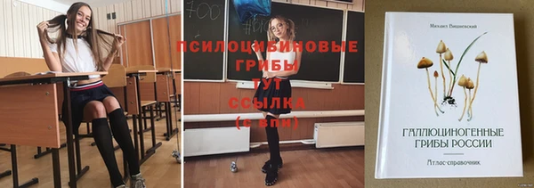 ГАЛЛЮЦИНОГЕННЫЕ ГРИБЫ Абаза