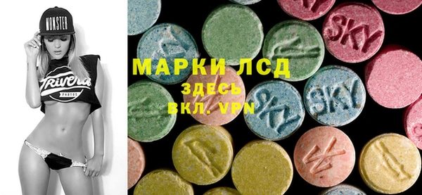 ГАЛЛЮЦИНОГЕННЫЕ ГРИБЫ Абаза