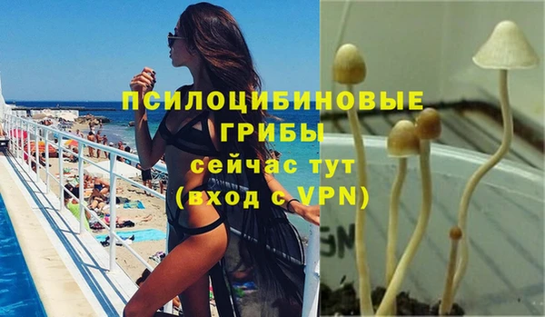 прущий лед Алзамай