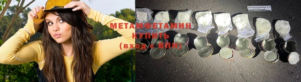 ГАЛЛЮЦИНОГЕННЫЕ ГРИБЫ Абаза